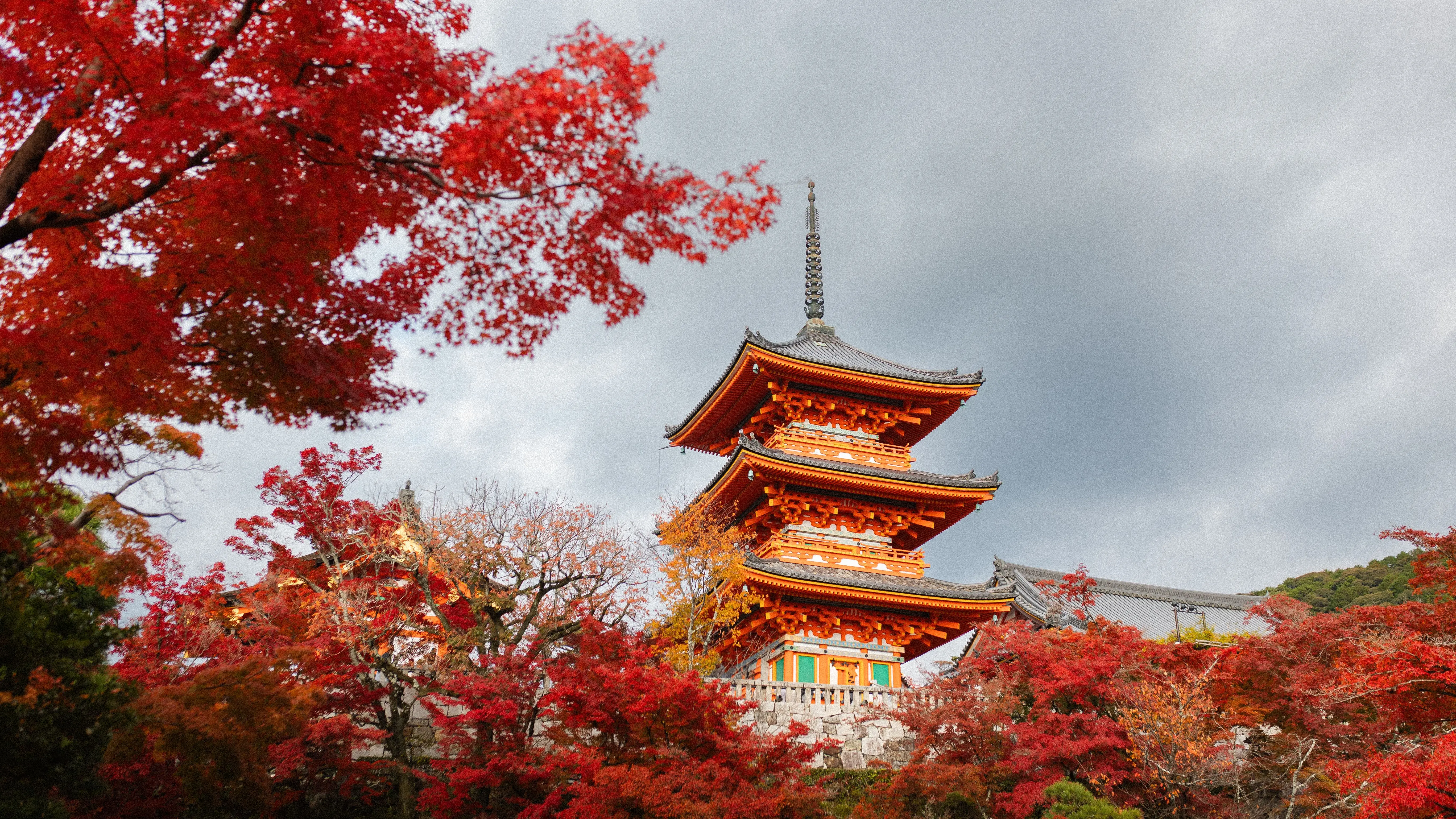 A red pagoda rising above maple trees in full autumn colour